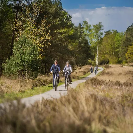 Modern Lakeview In Veluwe
