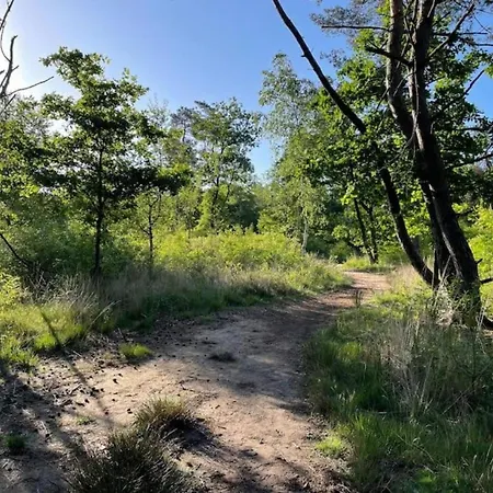 Modern Lakeview In Veluwe Сasa de vacaciones Hoenderloo