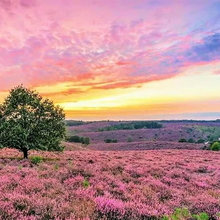Modern Lakeview In Veluwe Hoenderloo