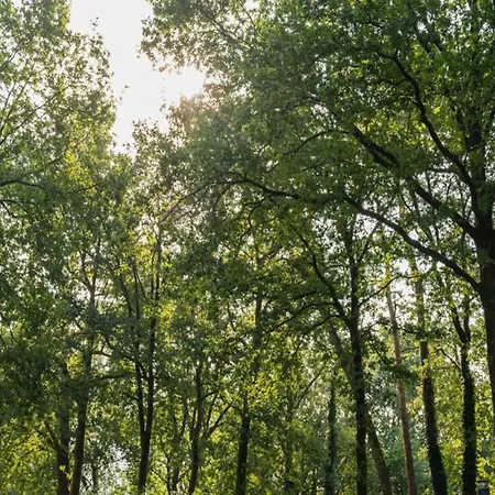 Modern Lakeview In Veluwe Hoenderloo