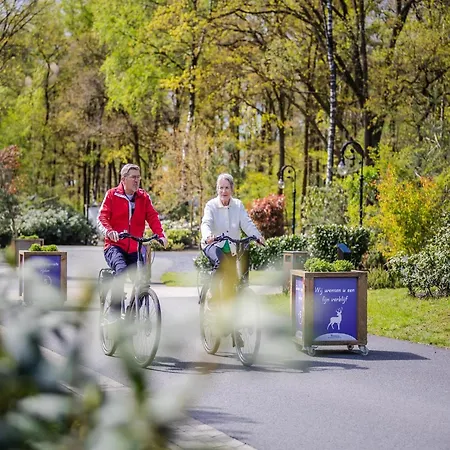 Modern Lakeview In Veluwe Сasa de vacaciones Hoenderloo
