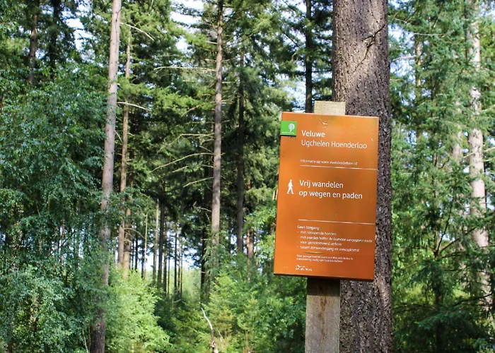 Modern Lakeview In Veluwe *