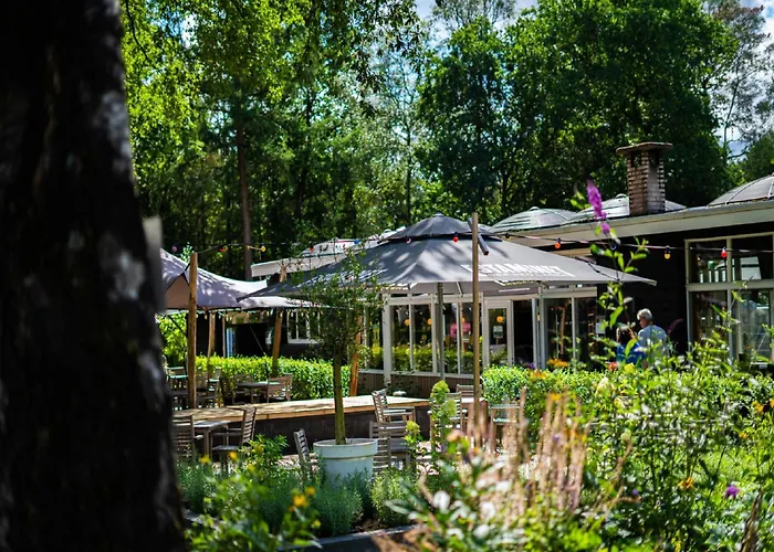Modern Lakeview In Veluwe Hoenderloo