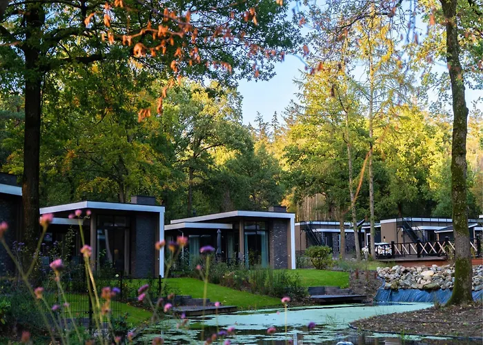 Modern Lakeview In Veluwe Hoenderloo