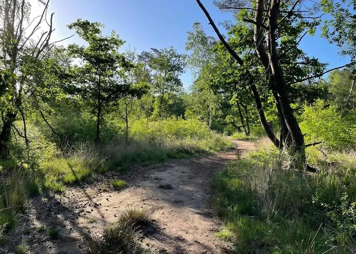 Modern Lakeview In Veluwe Tatil Evi Hoenderloo