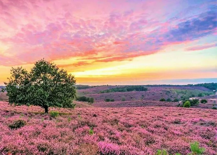 Modern Lakeview In Veluwe Hoenderloo