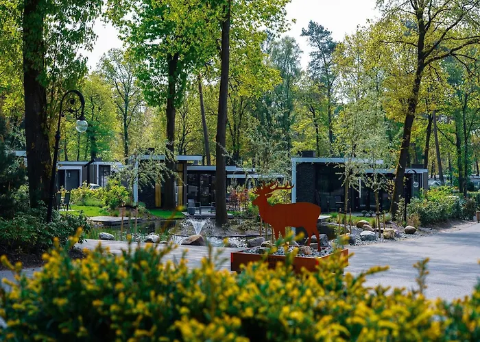 Modern Lakeview In Veluwe Tatil Evi *