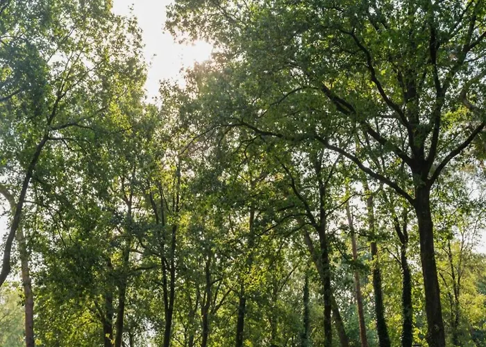 Modern Lakeview In Veluwe Hoenderloo