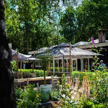 Modern Lakeview In Veluwe Hoenderloo