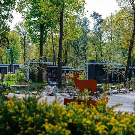 Modern Lakeview In Veluwe Vakantiehuis *