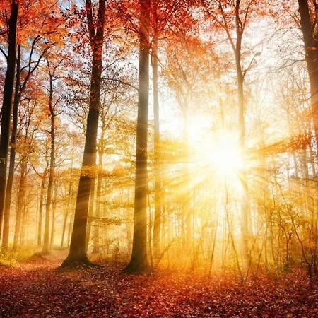 Modern Lakeview In Veluwe Vakantiehuis