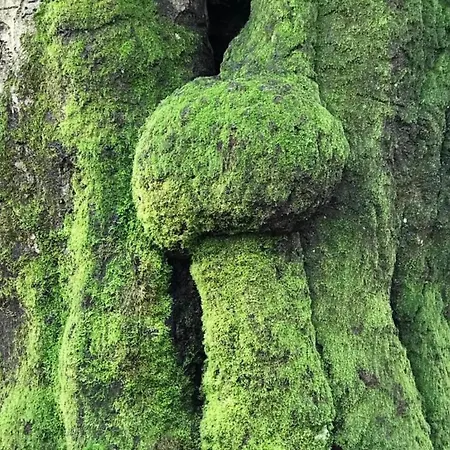 Vakantiehuis Modern Lakeview In Veluwe